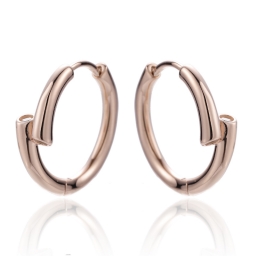 Boucle d'oreille en argent 925