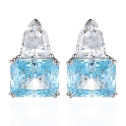 Boucle d'oreille en argent 925